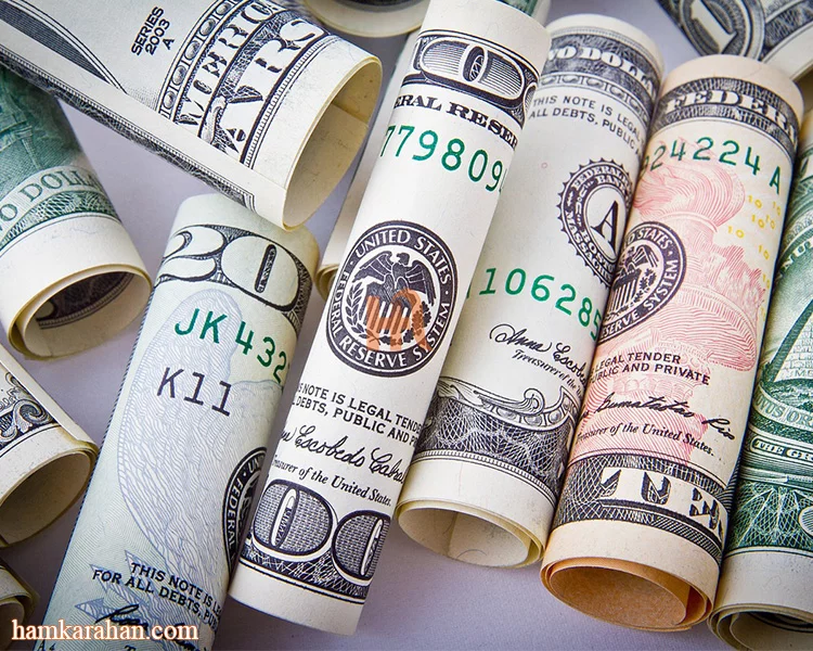 قیمت دلار در یکسال